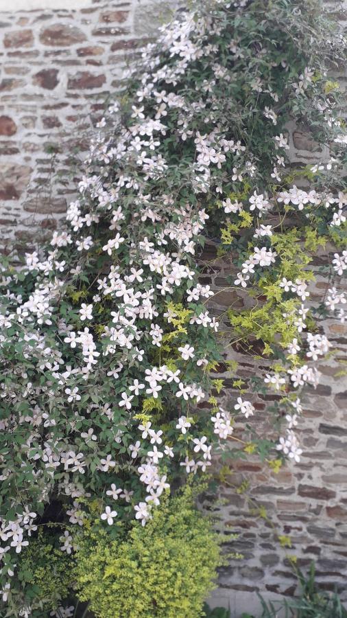 Gite Au Pre Du Mont St Michel Villa Villiers-le-Pré Exterior foto